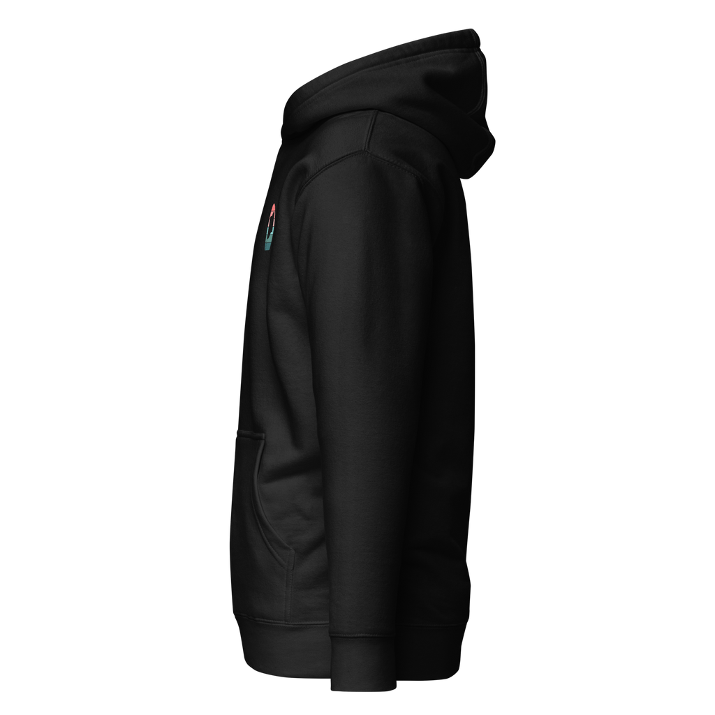 Birdie National black unisex pullover hoodie with a retro chest graphic, drawstring hood, and kangaroo pocket.