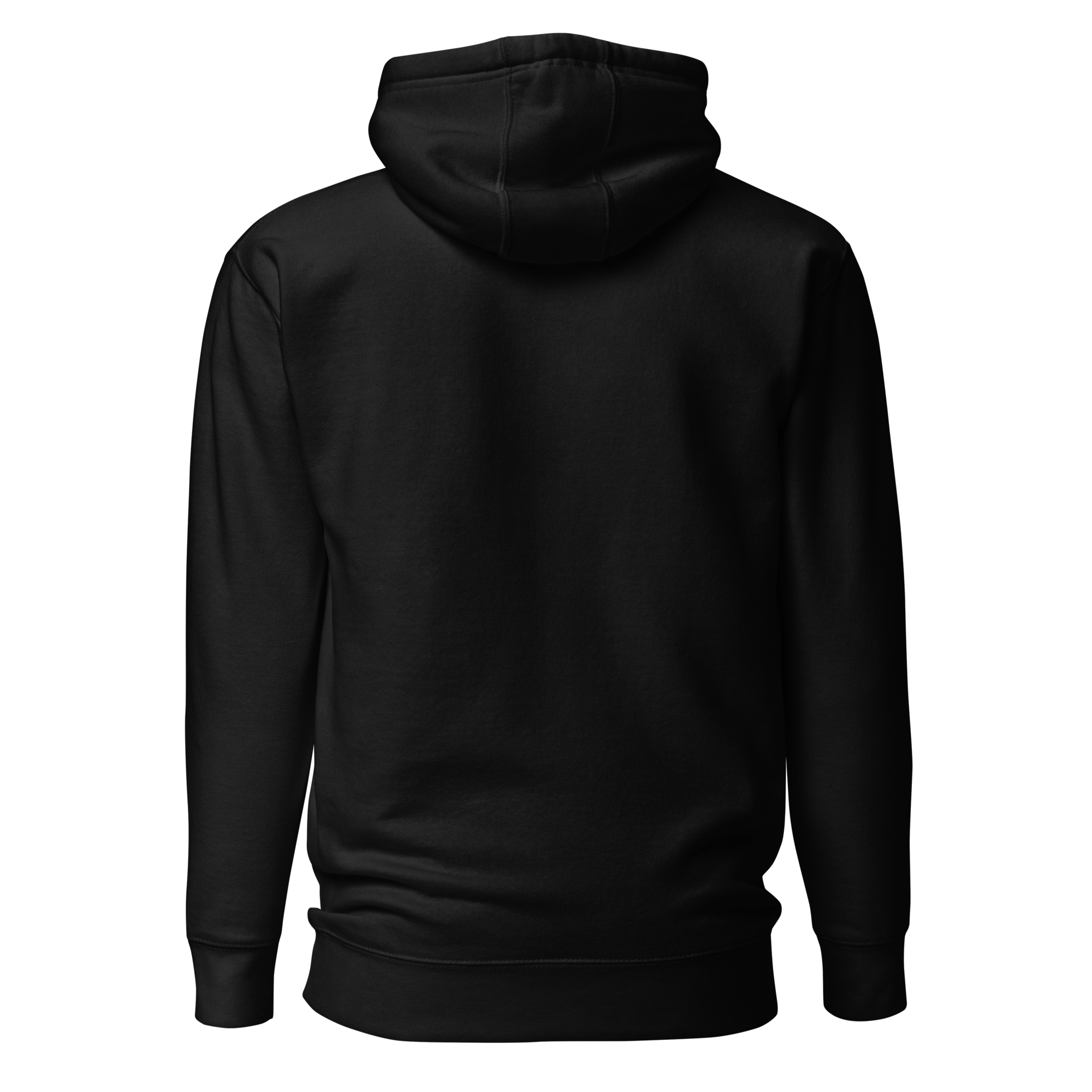 Birdie National black unisex pullover hoodie, back view, featuring a soft-touch fabric blend and ribbed hem.