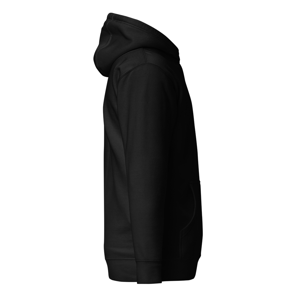 Birdie National black unisex pullover hoodie with drawstring hood and kangaroo pocket, side profile view